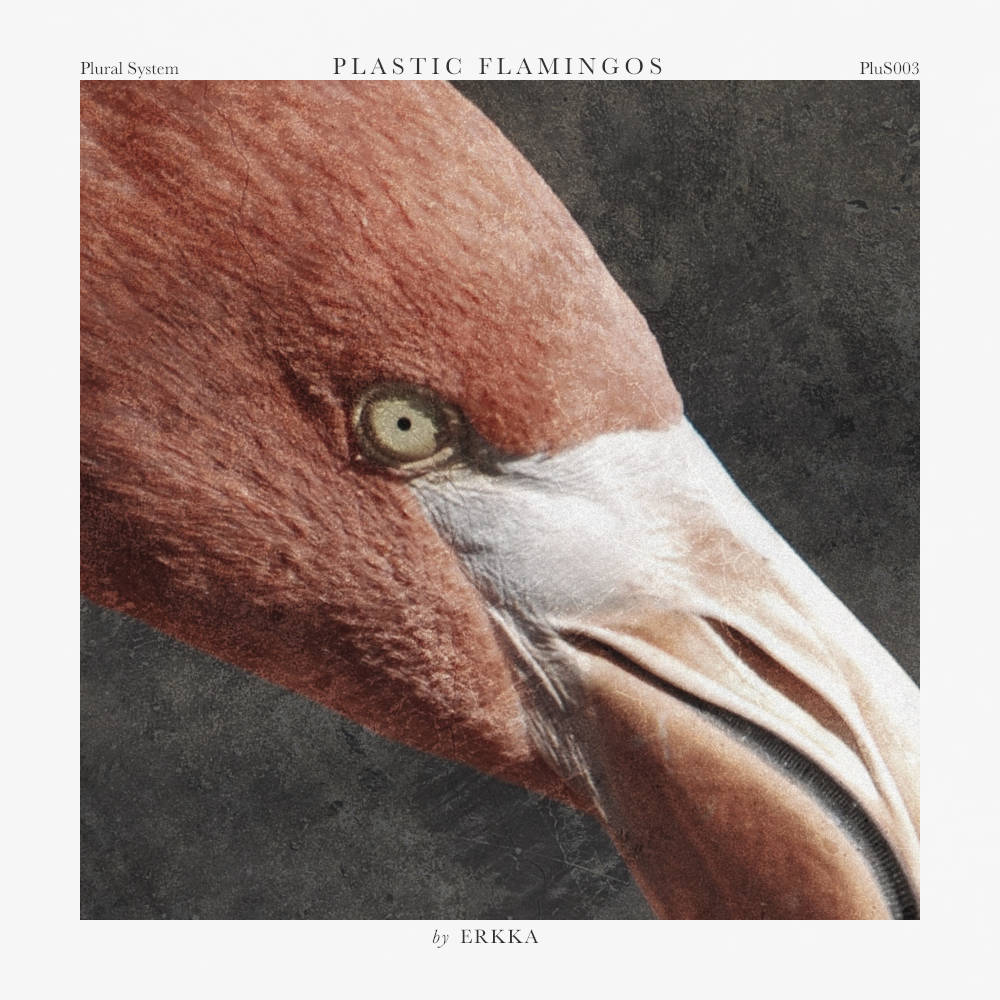 Plastic Flamingos cover